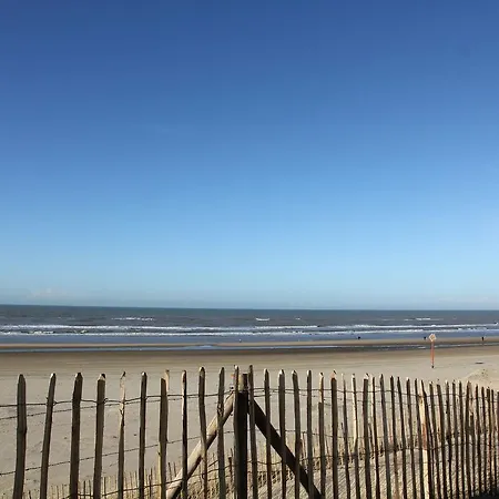 Holiday Zomerbries *